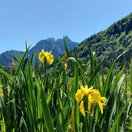 Edelweiss Lägenhet